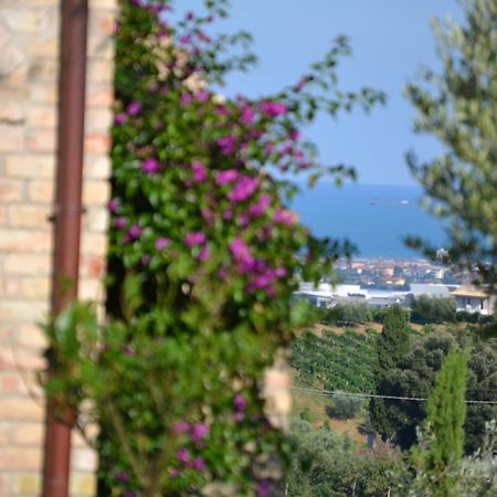 Agriturismo Il Sapore Della Luna Monteprandone Exteriör bild