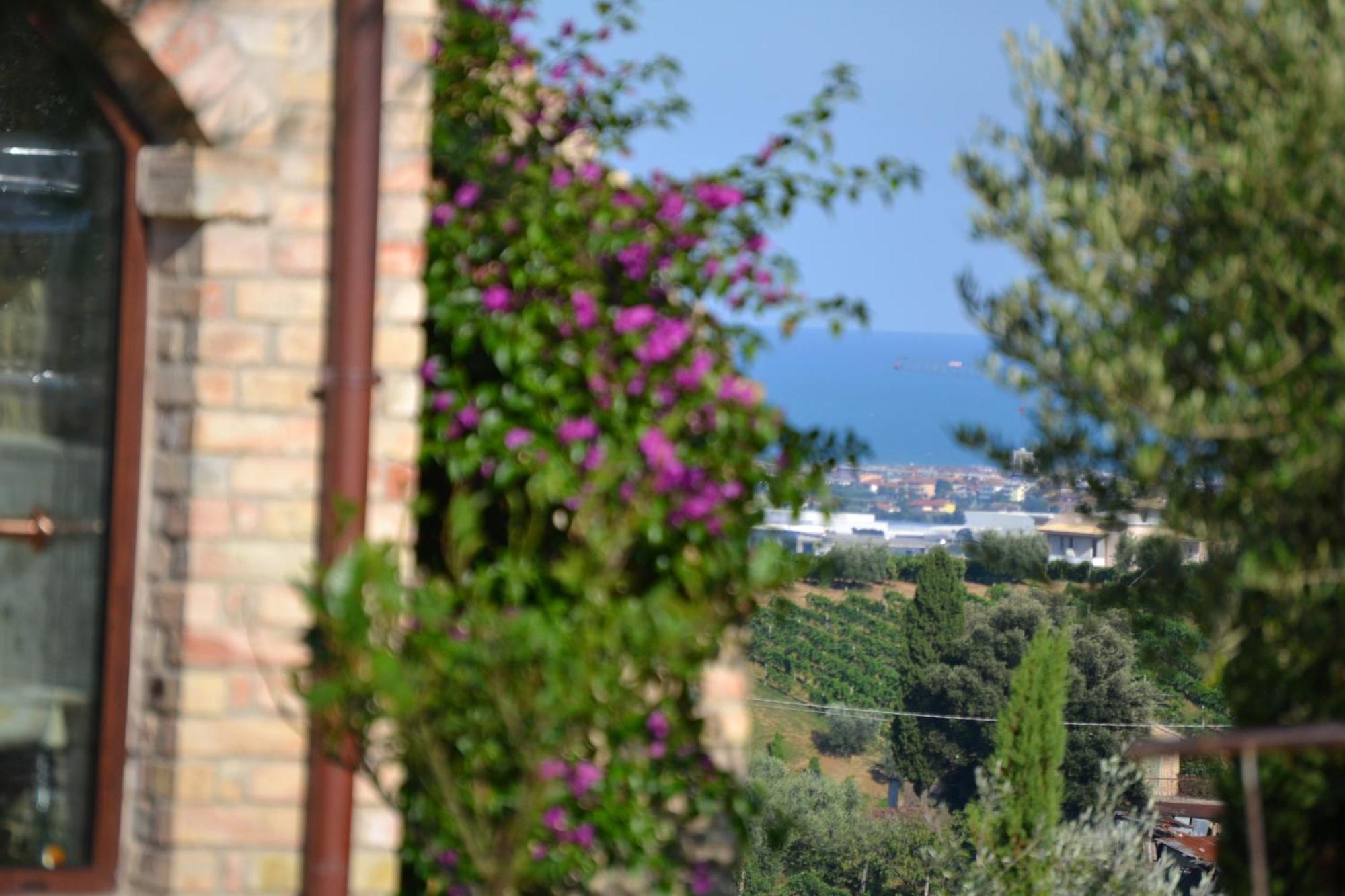 Agriturismo Il Sapore Della Luna Monteprandone Exteriör bild