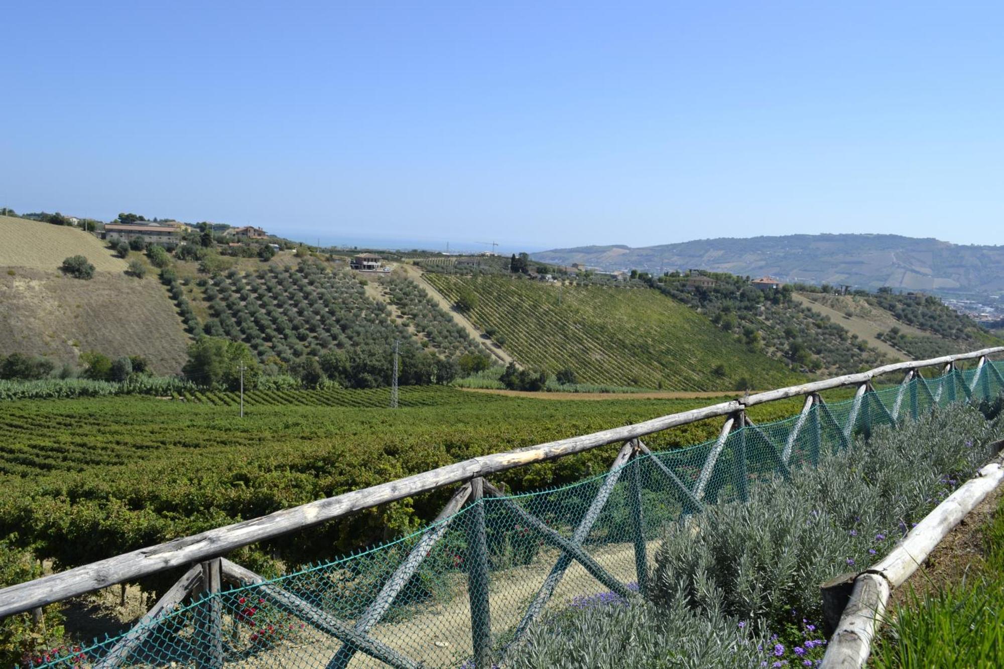 Agriturismo Il Sapore Della Luna Monteprandone Exteriör bild