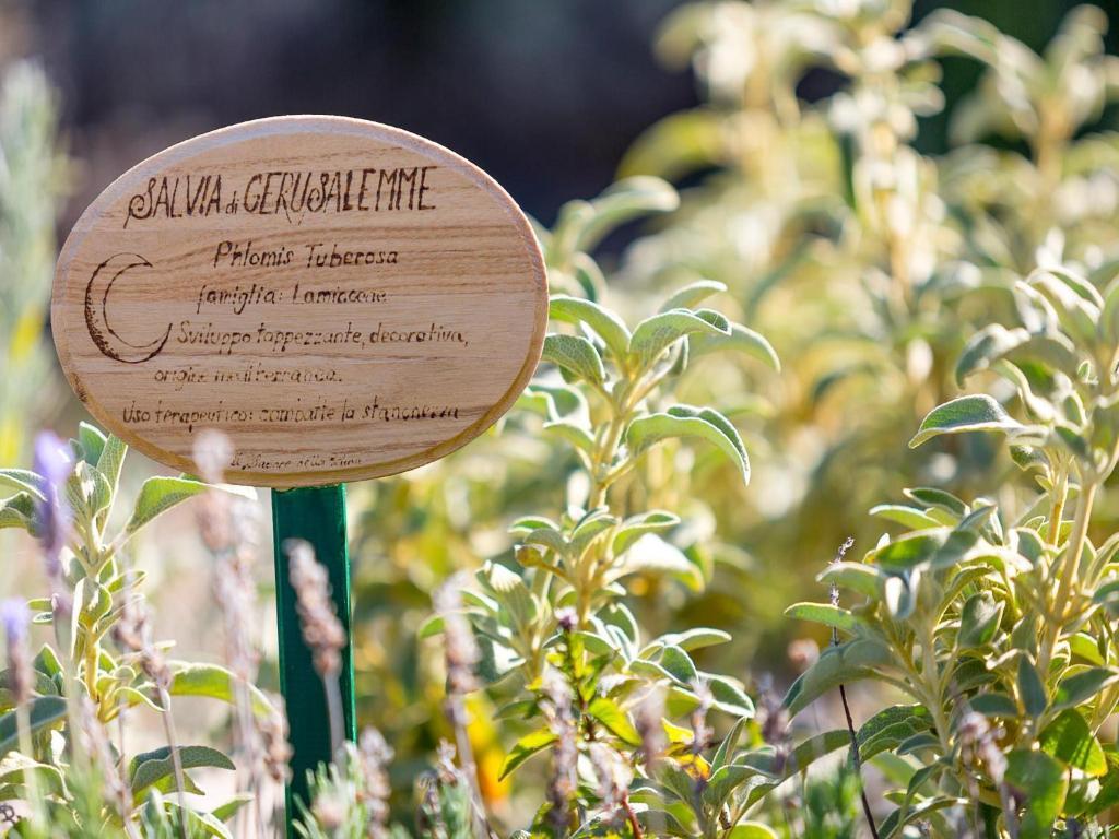 Agriturismo Il Sapore Della Luna Monteprandone Exteriör bild