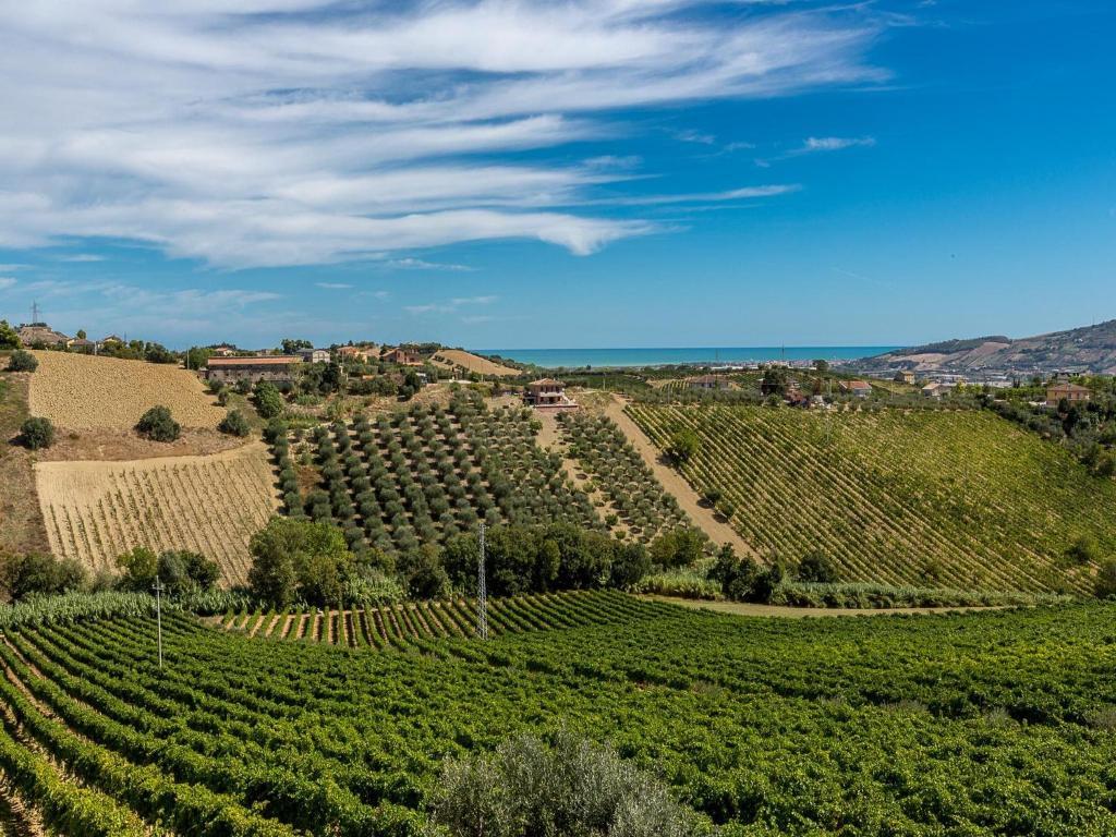 Agriturismo Il Sapore Della Luna Monteprandone Exteriör bild